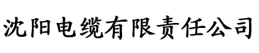 一级做人爱c视频播放电缆厂logo